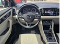 SKODA KAROQ 2019/12 - 10