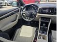 SKODA KAROQ 2019/12 - 11