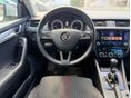 SKODA OCTAVIA 2018/2 - 10