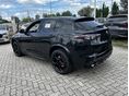 ALFA ROMEO STELVIO 2026 - 6