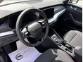 SKODA OCTAVIA 2026 - 8