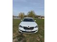 SKODA SUPERB 2.0 TSI L&K 4x4 DSG