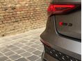 AUDI RS3 2023/5 - 13
