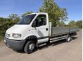 RENAULT mascott