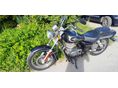 SUZUKI GZ 250 (MARAUDER) 