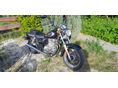 SUZUKI GZ 250 (MARAUDER) 2001/12 - 4