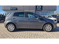 FIAT PUNTO 2013/12 - 9