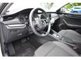 SKODA OCTAVIA 2023/7 - 5