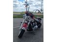 HARLEY-DAVIDSON SOFTAIL 2007/1 - 2