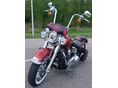HARLEY-DAVIDSON SOFTAIL 2007/1 - 4