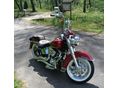 HARLEY-DAVIDSON SOFTAIL 2007/1 - 8