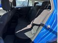 FORD FOCUS 2020/11 - 13