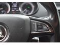 SKODA OCTAVIA 2018/9 - 14
