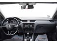 SKODA OCTAVIA 2018/9 - 17