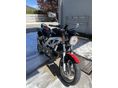 SUZUKI SV 650 N 2003/5 - 2