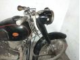 PANNONIA T5 