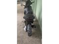 GILERA RUNNER 2009/6 - 11