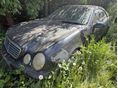 MERCEDES-BENZ CLK 320 Elegance (Automata)