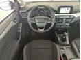 FORD FOCUS 2018/12 - 18