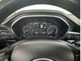 FORD FOCUS 2018/12 - 19