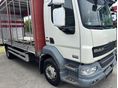 DAF 2013/11 - 2