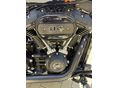 HARLEY-DAVIDSON STREET BOB 2022 - 8
