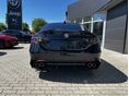 ALFA ROMEO GIULIA 2026 - 6