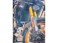 VOGE DS800X RALLY 2025/10 - 9