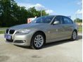 BMW 318 2009/12 - 1
