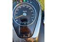 SUZUKI VL 800 (INTRUDER) 2014/4 - 2