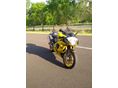 APRILIA RSV 1000 2003/5 - 3