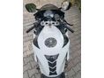 HONDA CBR 1000 RR 2008/1 - 6