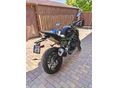 KAWASAKI Z 900 2024 - 8