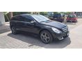 MERCEDES-BENZ R 320 2006/9 - 2