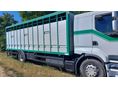 RENAULT Premium