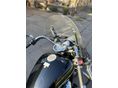 YAMAHA XVS 1300 A MIDNIGHT STAR 2008/3 - 3