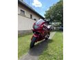 YAMAHA YZF 600 R Thundercat