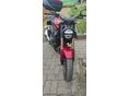 HONDA CB 300 R ABS 2023/7 - 2