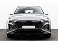 AUDI Q8 2024/1 - 2