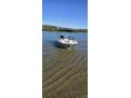 BAYLINER 2019/5 - 2