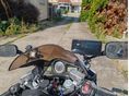 HONDA VFR 800 2006 - 2