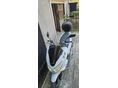 HONDA PCX 125 2020/5 - 3