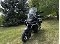 HONDA NC 750 X 2023/1 - 2