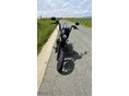 HARLEY-DAVIDSON SPORTSTER 1200 CUSTOM 2019/8 - 2