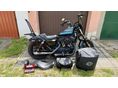 HARLEY-DAVIDSON SPORTSTER 1200 CUSTOM 2019/8 - 7