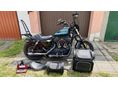 HARLEY-DAVIDSON SPORTSTER 1200 CUSTOM 2019/8 - 8