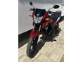 HONDA CBF 125 2022/3 - 2