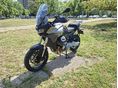 MOTO GUZZI STELVIO 2025/7 - 5