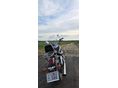 HONDA VT 750 2000 - 3
