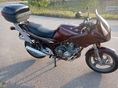 YAMAHA XJ 600 S 1995/6 - 2
